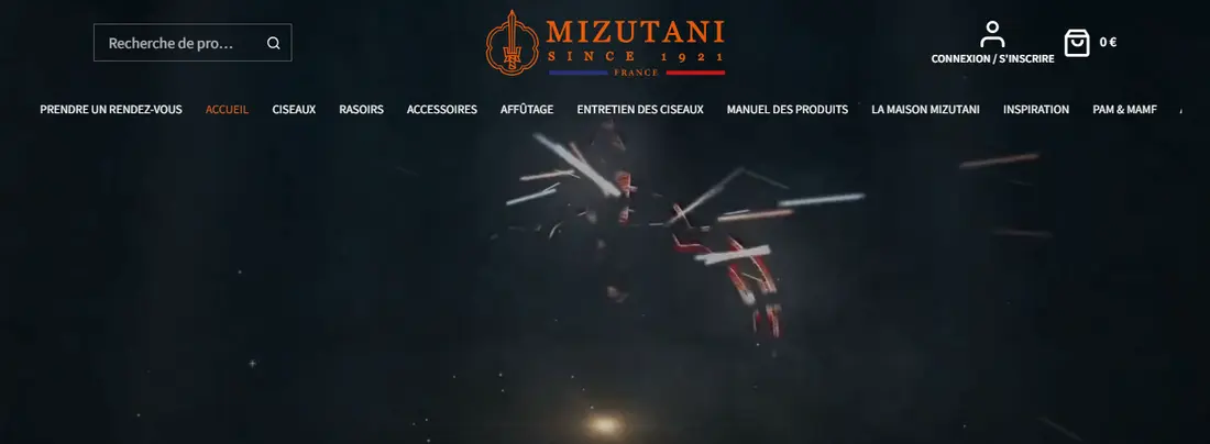 Aperçu du site Mizutani Scissors France