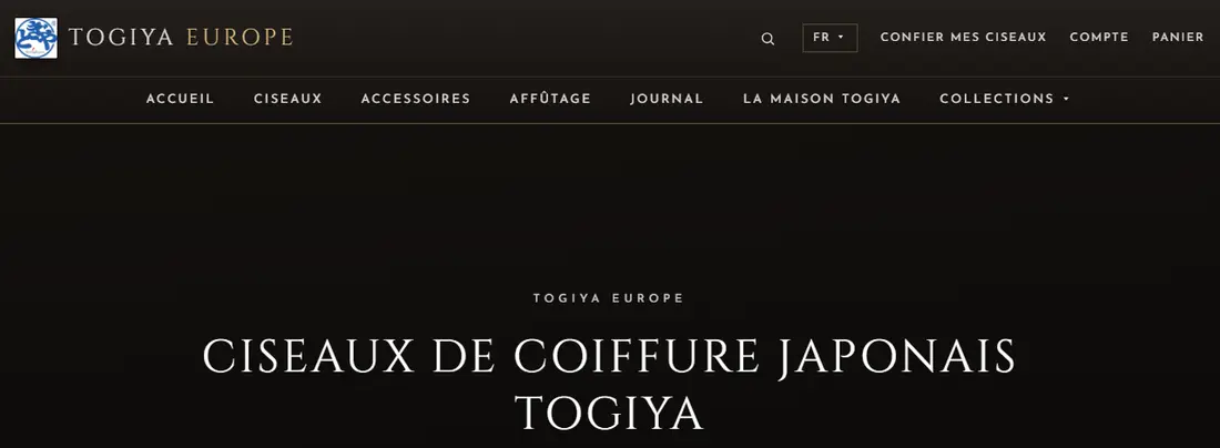 Aperçu du site Togiya Europe